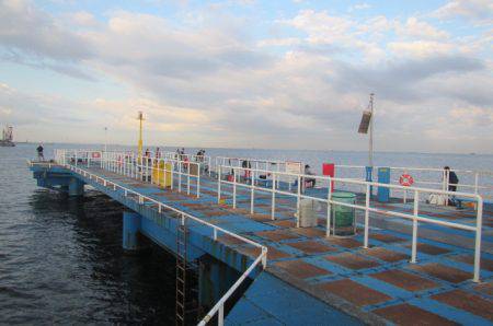 オリジナルメーカー海づり公園(市原市海づり施設) 釣果