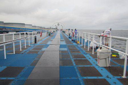 オリジナルメーカー海づり公園(市原市海づり施設) 釣果