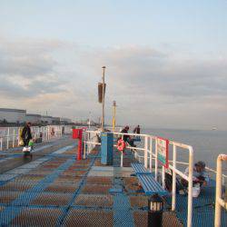 オリジナルメーカー海づり公園(市原市海づり施設) 釣果