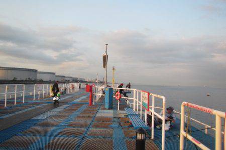 オリジナルメーカー海づり公園(市原市海づり施設) 釣果