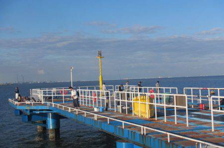 オリジナルメーカー海づり公園(市原市海づり施設) 釣果