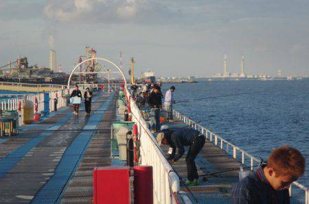 オリジナルメーカー海づり公園(市原市海づり施設) 釣果