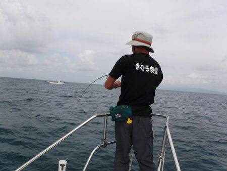 ＢｌｕｅＮｏｔｅ　Ｆｉｓｈｉｎｇ　Ｔａｘｉ 釣果