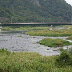 狩野川(狩野川漁業協同組合) 釣果