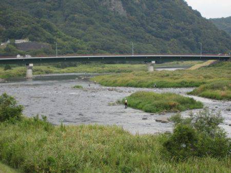 狩野川(狩野川漁業協同組合) 釣果
