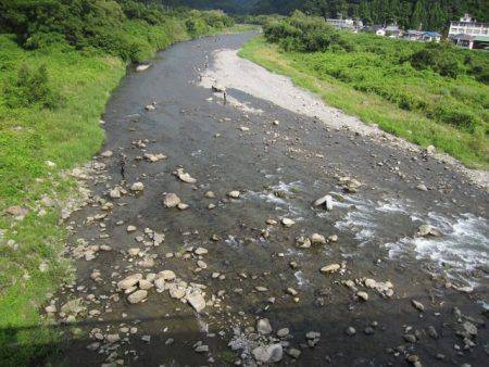 狩野川(狩野川漁業協同組合) 釣果