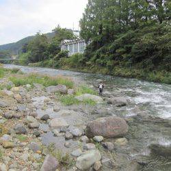 狩野川(狩野川漁業協同組合) 釣果