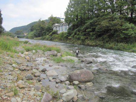 狩野川(狩野川漁業協同組合) 釣果