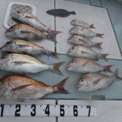 遊漁船 幸友丸 釣果