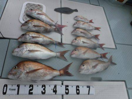 遊漁船 幸友丸 釣果