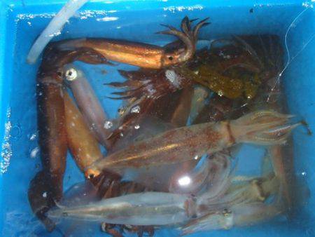 第二むつ漁丸 釣果