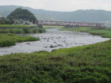 狩野川（狩野川漁業協同組合） 釣果