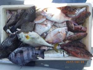 石川丸 釣果