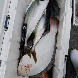 第二大福丸 釣果