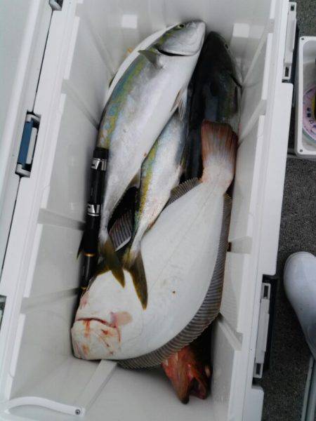 第二大福丸 釣果