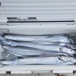 遊漁船 ニライカナイ 釣果