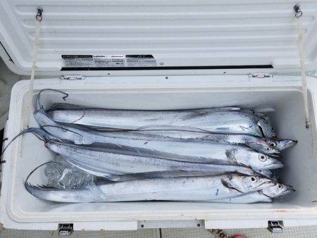 遊漁船 ニライカナイ 釣果