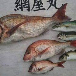 網屋丸 釣果