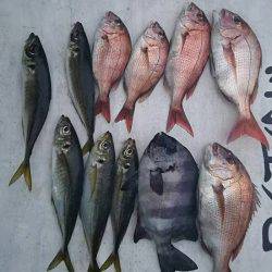 網屋丸 釣果