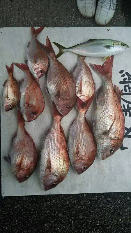 網屋丸 釣果