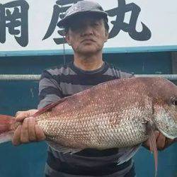 網屋丸 釣果