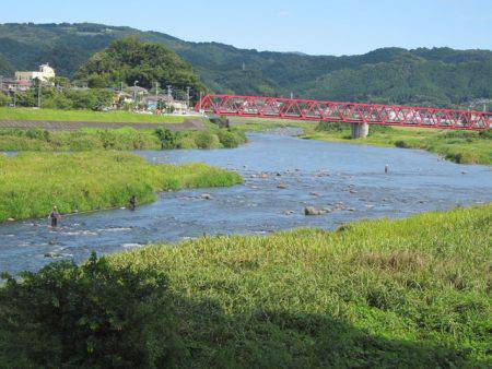 狩野川(狩野川漁業協同組合) 釣果