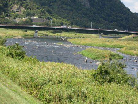 狩野川(狩野川漁業協同組合) 釣果