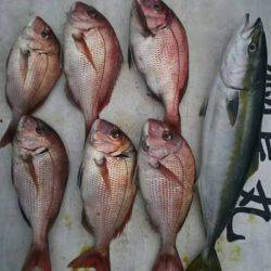 網屋丸 釣果
