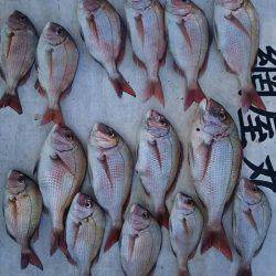 網屋丸 釣果