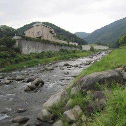 狩野川(狩野川漁業協同組合) 釣果
