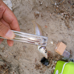 キス不調は続く・・・