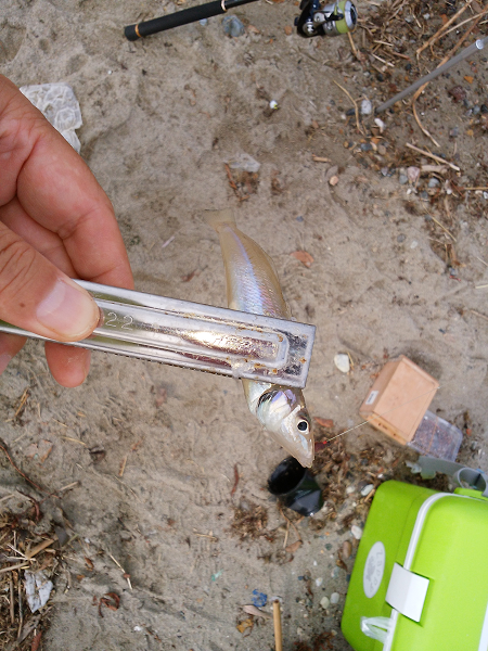 キス不調は続く・・・