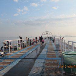 オリジナルメーカー海づり公園(市原市海づり施設) 釣果