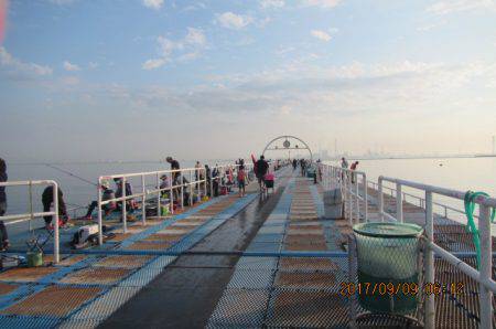 オリジナルメーカー海づり公園(市原市海づり施設) 釣果