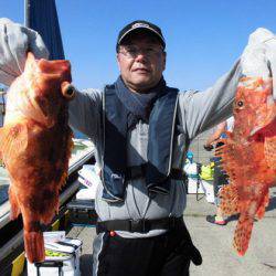 大進丸(新潟) 釣果