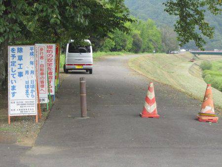 狩野川(狩野川漁業協同組合) 釣果