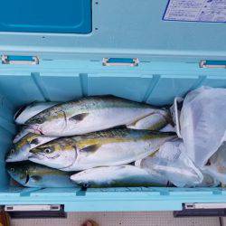 遊漁船　ニライカナイ 釣果