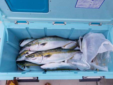遊漁船　ニライカナイ 釣果