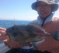 IDATEN(イダテン) 釣果