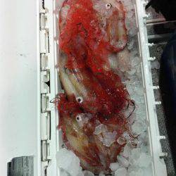 第二大福丸 釣果