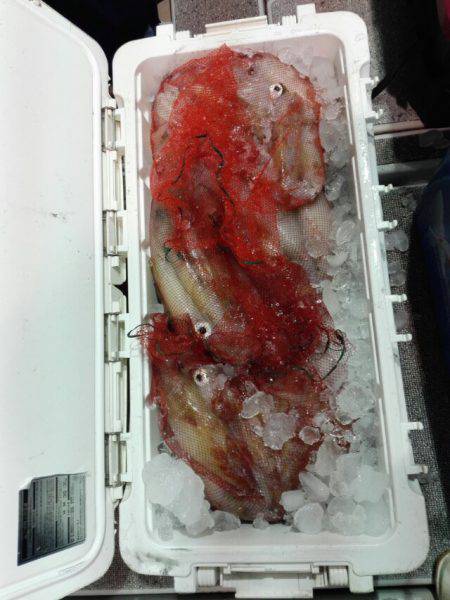 第二大福丸 釣果