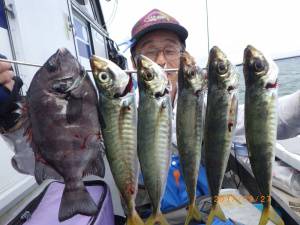 石川丸 釣果