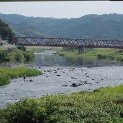 狩野川(狩野川漁業協同組合) 釣果