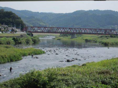 狩野川（狩野川漁業協同組合） 釣果