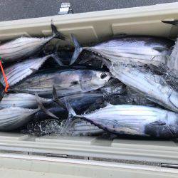 へいみつ丸 釣果