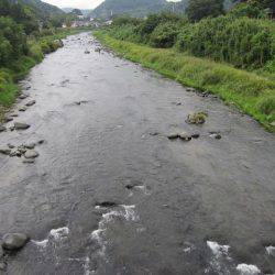狩野川(狩野川漁業協同組合) 釣果