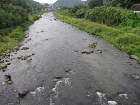狩野川(狩野川漁業協同組合) 釣果