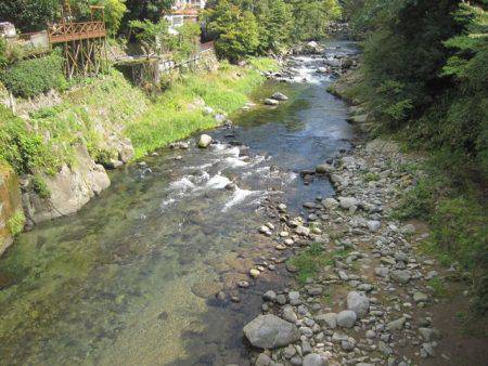 狩野川(狩野川漁業協同組合) 釣果