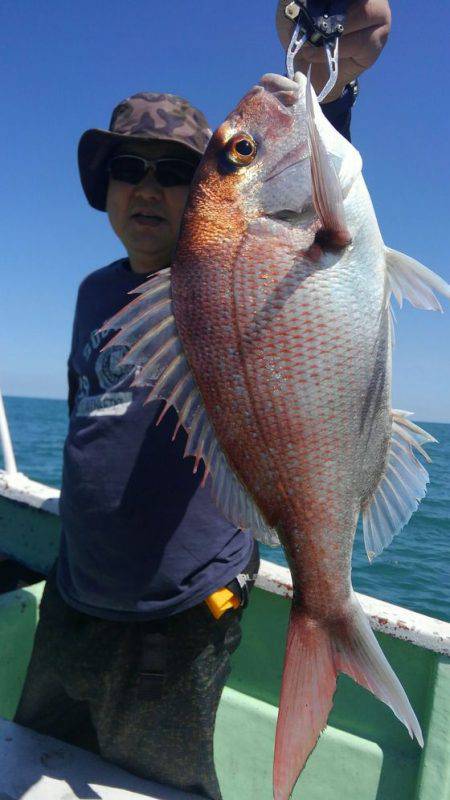 遊漁船 新鋭丸 釣果