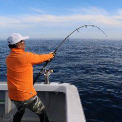 へいみつ丸 釣果